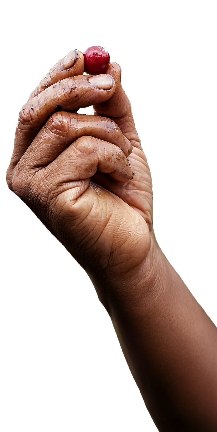 ChatGPT Image Nov 18, 2025, 06_22_28 PM_edited.png