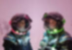 Analog astronaut experience