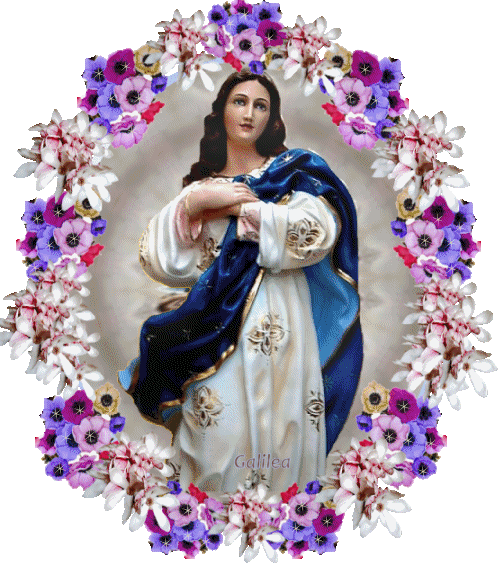 Virgen_María_-_Inmaculada_Concepción