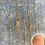 Miniatura: D:4.5$-M:4.1$ TH-TOBILLERA