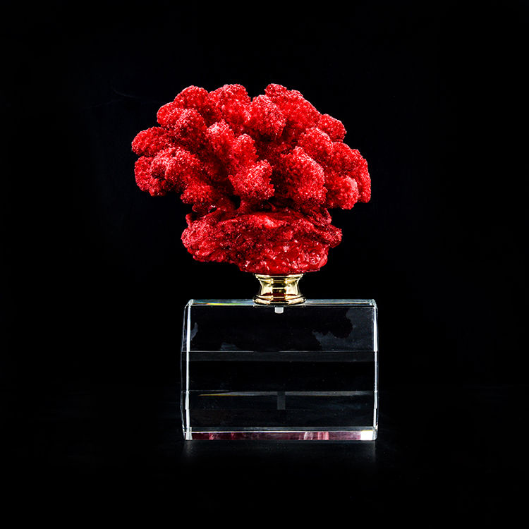 Thumbnail: ARTIFICIAL CORAL #1, red