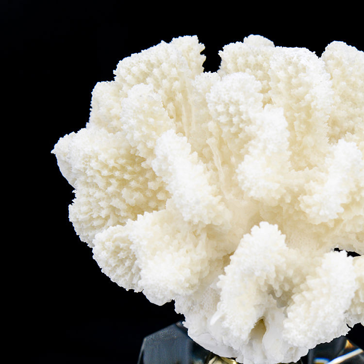 Thumbnail: ARTIFICIAL CORAL #2, white