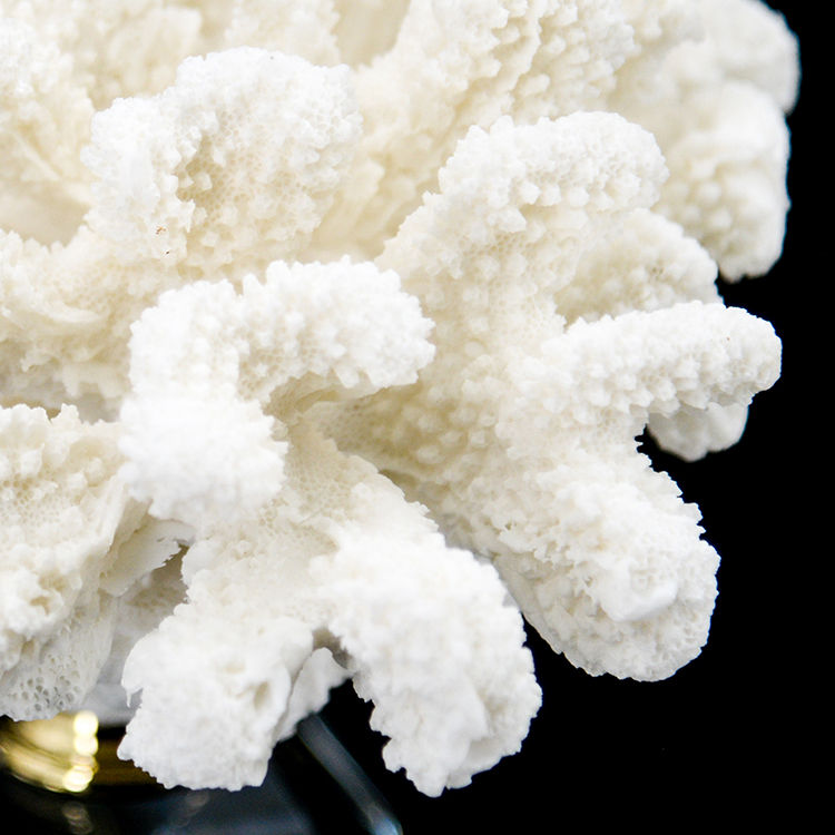 Thumbnail: ARTIFICIAL CORAL #1, white