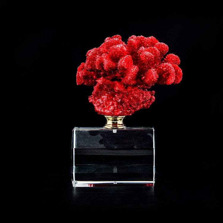 Thumbnail: ARTIFICIAL CORAL #1, red