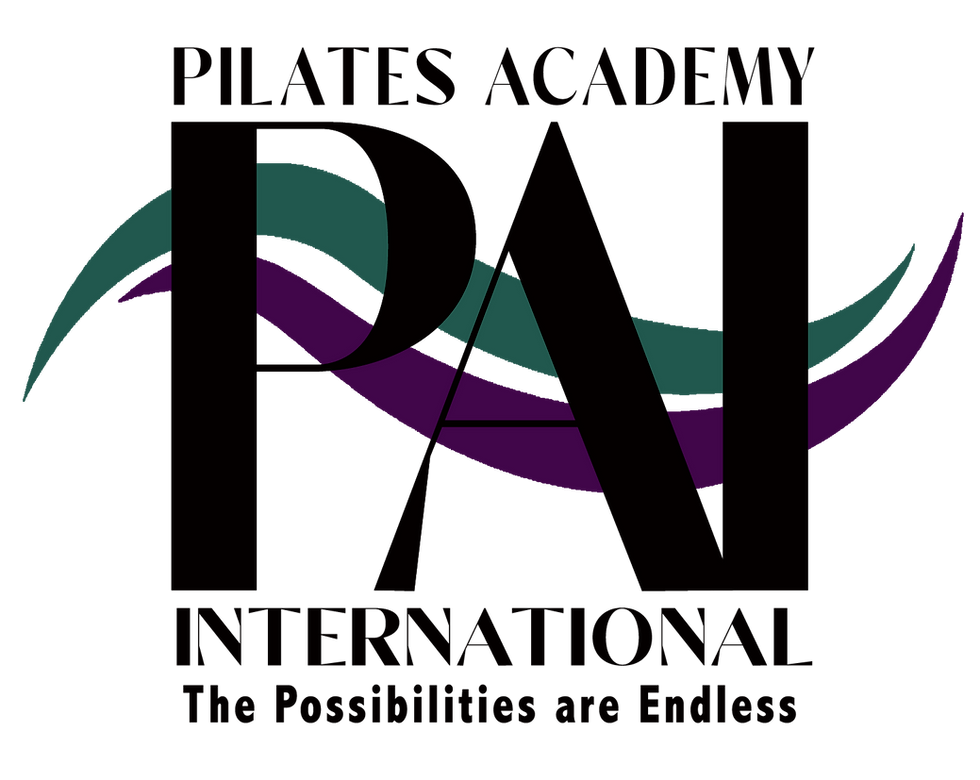 PAI New Logo Colored with Tagline.png