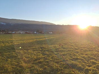 soleil-prairie-du-toulet