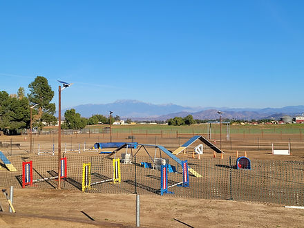 Agility page pic.jpg