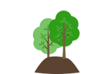 Group 70 (1).png