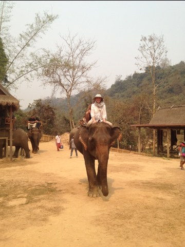 20120310-125148.jpg