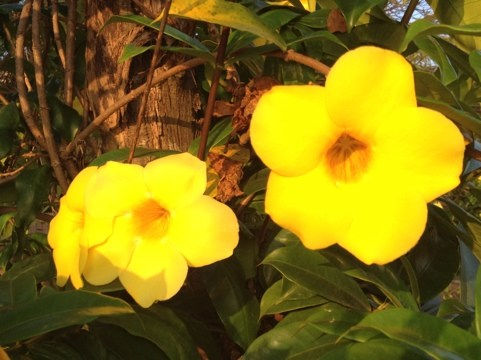 20120305-151610.jpg