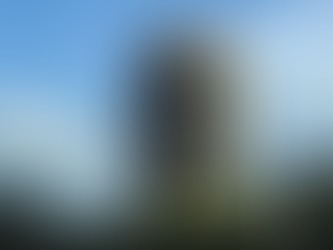 Copom: BC destaca impacto da gasolina na inflação e debate projeções do mercado