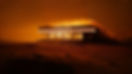 Firefly (17).jpg