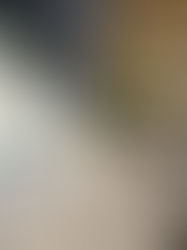 Entering additional business areas with MEYER Floating Solutions – MEYER Group teams up with ADMARES