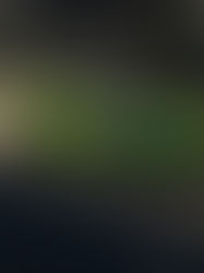 Automobili Lamborghini Presents the Huracán Tecnica