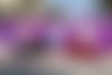 Alfardan Premier Motors is the “Official Transport” Provider for Qatar TotalEnergies Open 2022 