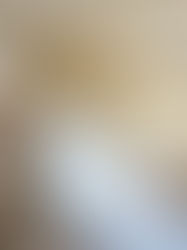 RoyalJet expands its five-star fleet with a premium BBJ