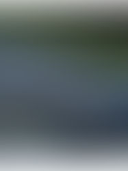 Ultimate driving dynamics: BMW M GmbH begins concept testing for all-electric high-performance model