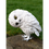 Thumbnail: Beautiful Snowy Owl Garden Ornament