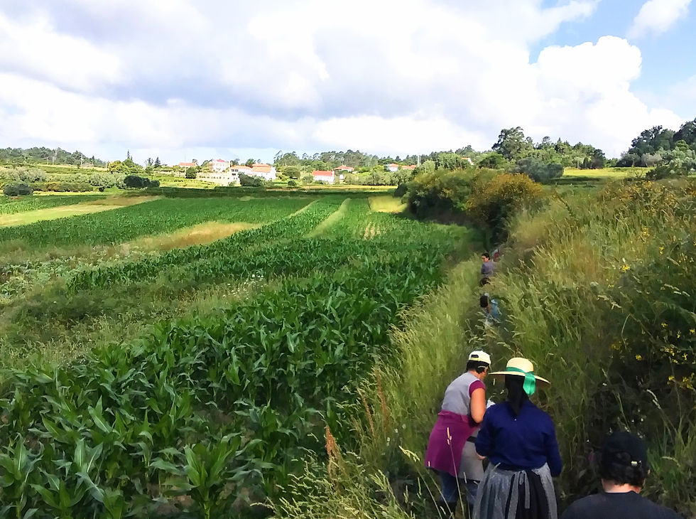 Conversa à Sombra das Árvores – Ciclo de Tertúlias com Gentes da Terra - REGAR AS MEMÓRIAS DAS ÁGUAS COMUNS