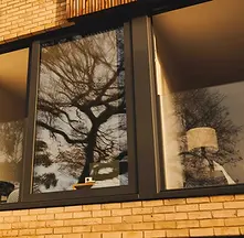 envato-labs-image-edit (26).webp