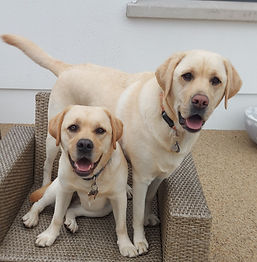 T and L 3_edited.jpg