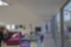 Salon donnant sur le jardin d'hiver