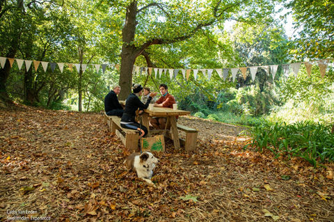 Under the Oaks Market Swellendam | Top things to do in Swellendam