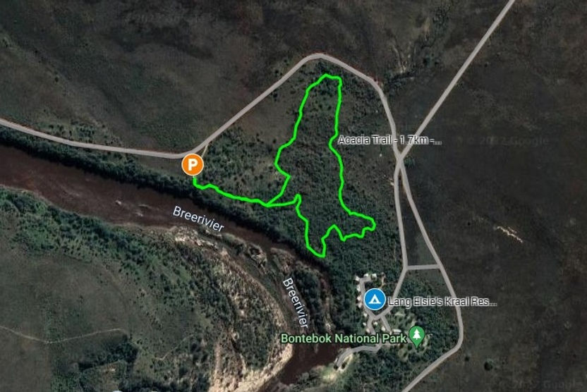 Acacia Trail rev1.jpg