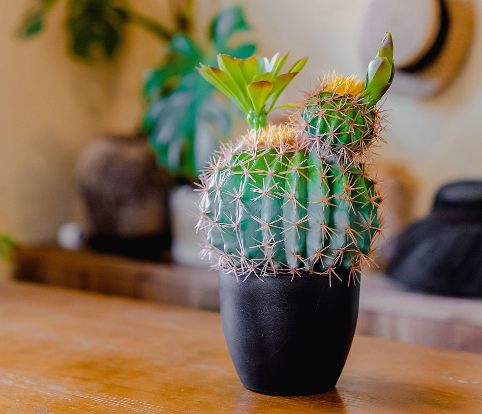 Thumbnail: Rustic Artificial Cactus Plant Decor in Bloom with Soft Spines, 14” Tall