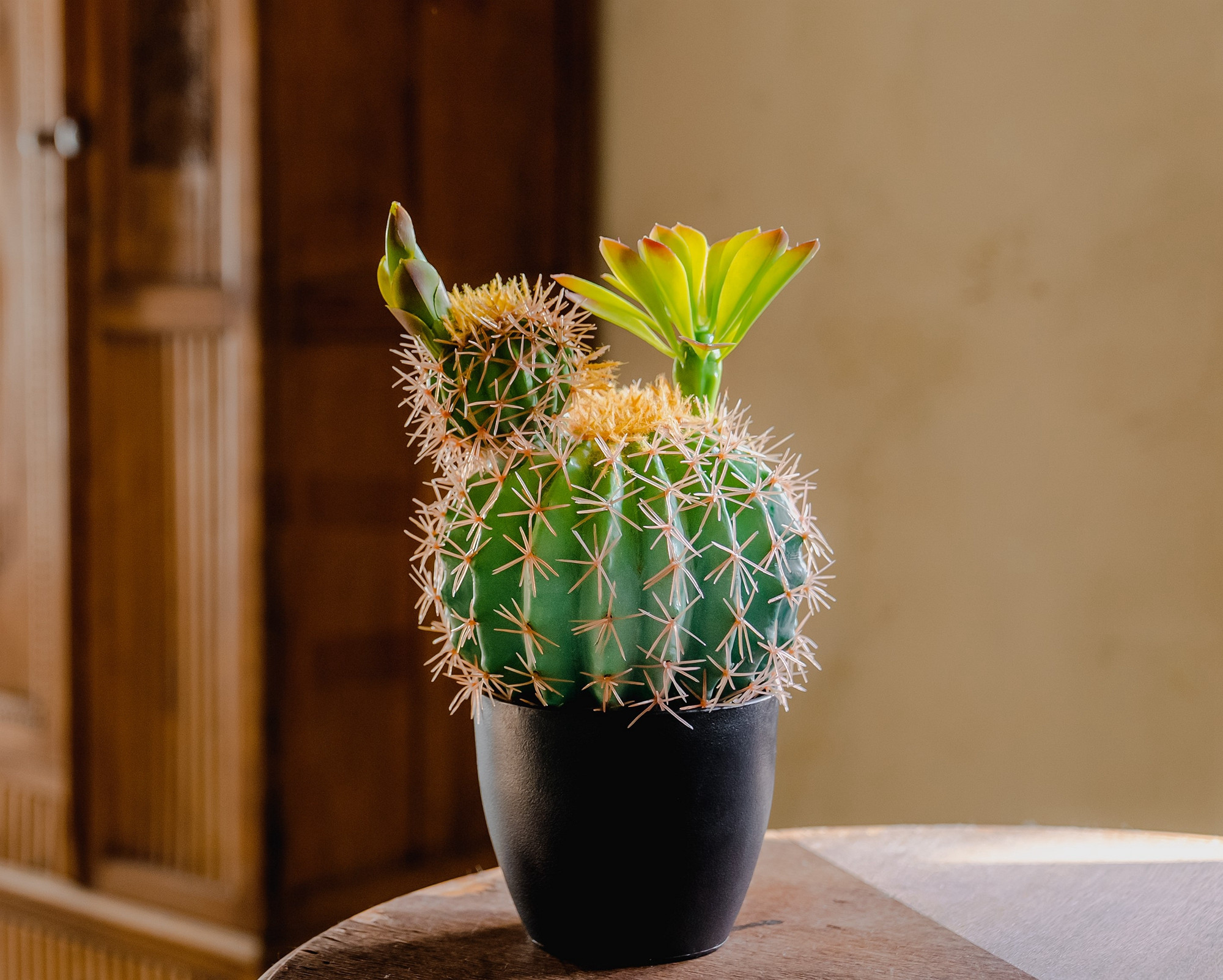 Rustic Artificial Cactus Plant Decor in Bloom with Soft Spines, 14” Tall