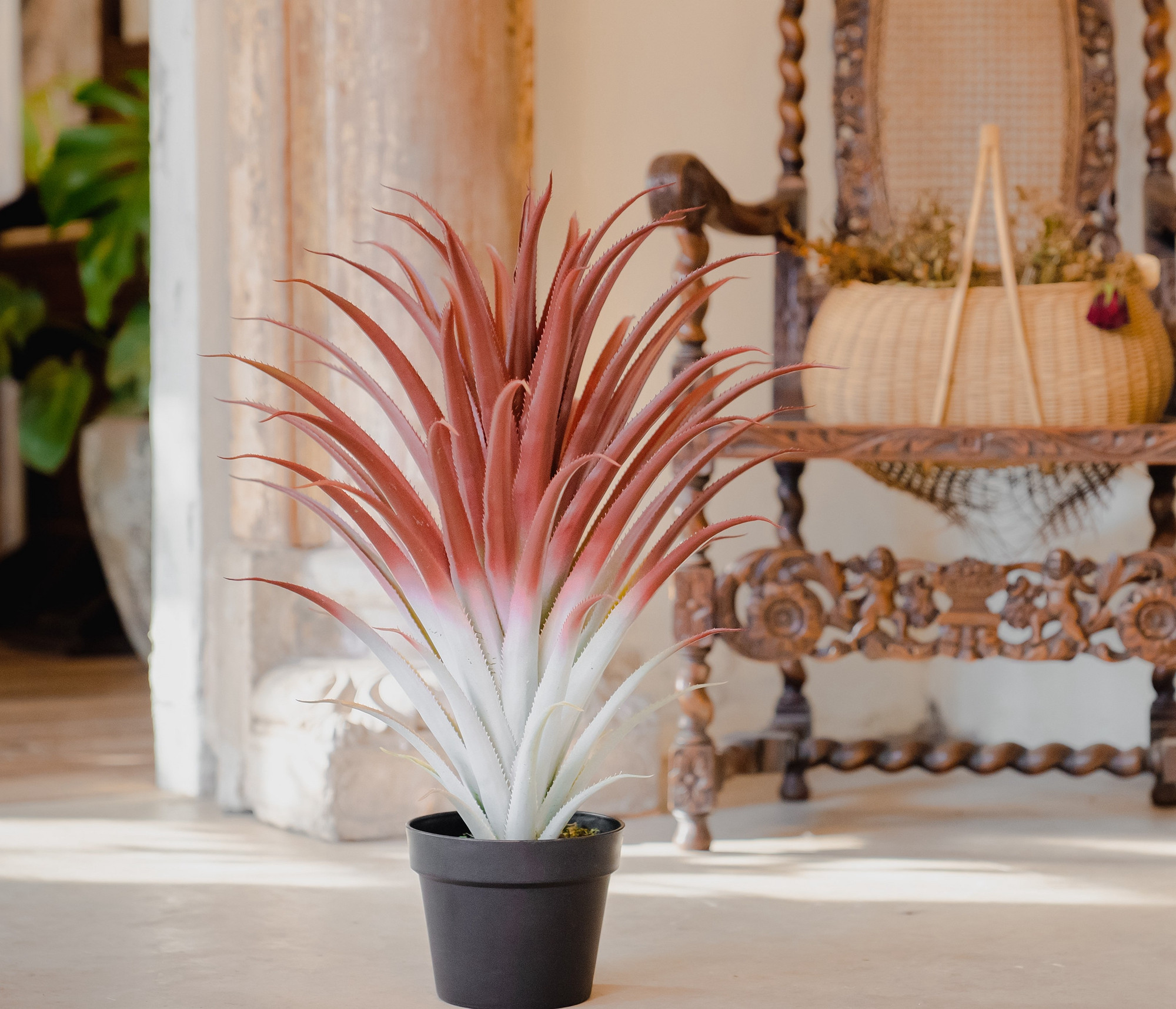 Aesthetic Faux Red Aloe Vera Plant - Hyper-Realistic and Elegant 26”