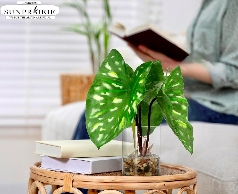 Thumbnail: Wide Arrowhead Leaves,Tropical Artificial Plant in Clear Pot