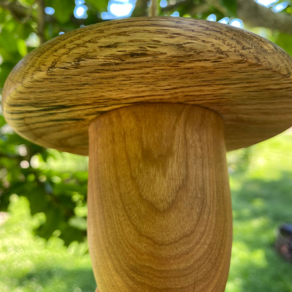 Thumbnail: BLACK CHERRY & SPALTED WHITE OAK acorn birdhouse