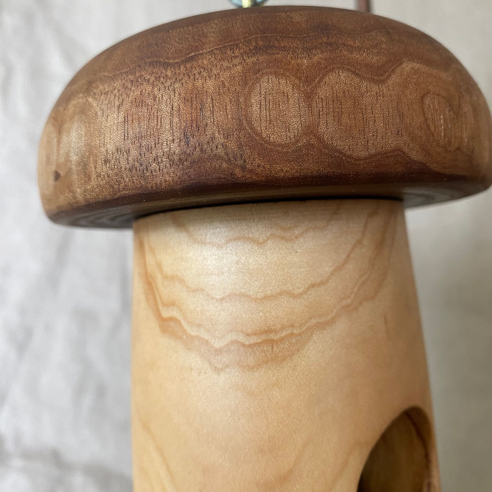 Thumbnail: big butternut birdhouse BLACK WALNUT & MAPLE