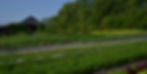 DSC_0016_edited.jpg