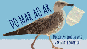 DO MAR AO AR: microplásticos em aves marinhas e costeiras
