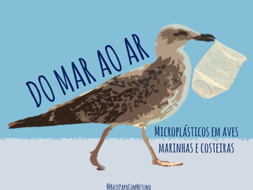 DO MAR AO AR: microplásticos em aves marinhas e costeiras