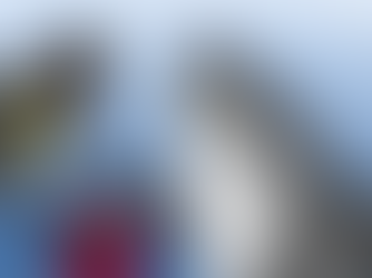 Para quem tem medo de tubarão