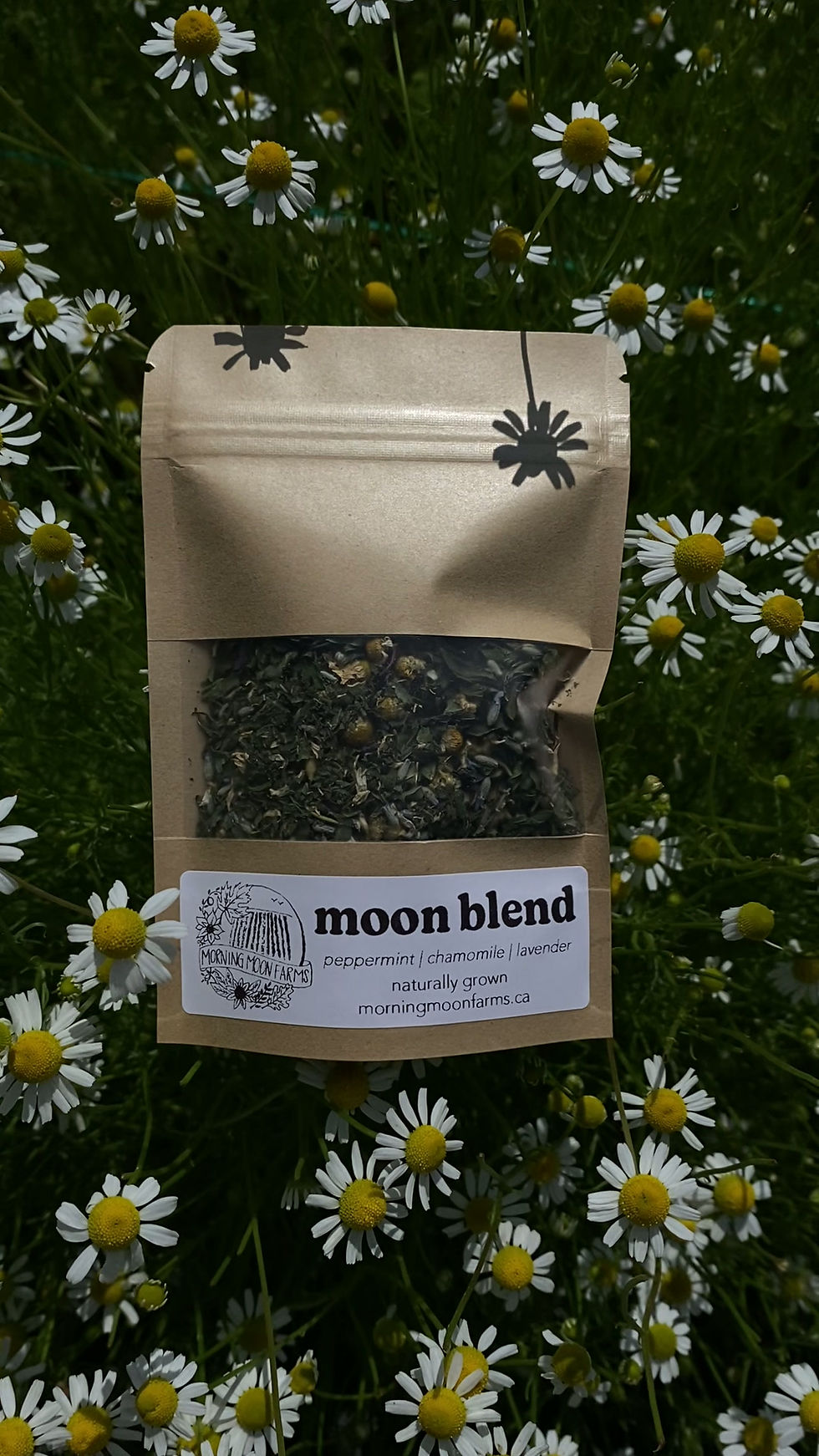 Thumbnail: MOON BLEND - herbal tea