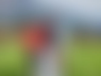MERCATO du 2 juillet 2026
