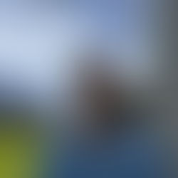 Freysinger kündigt Abschied an