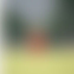 FOTE MERCATO 2025-2026