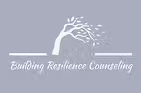 Building Resilence.avif