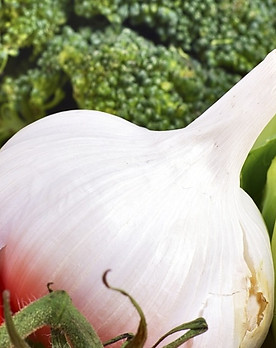 Fotolia_60517851_L_edited.jpg