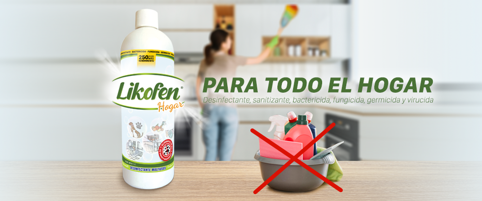 paratodoelhogar.png