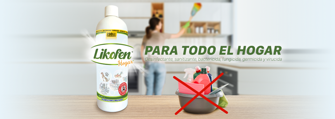 Para todo el hogar