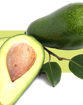 aguacate_edited.png