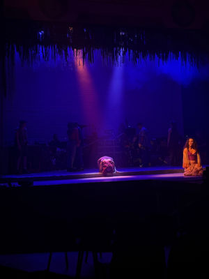 The Waiting Developmental Premiere  Produced by Playhouse Stage Co   Book and Lyrics- EmmaLee Kidwell  Music and orchestratio