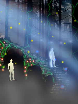 A MIDSUMMER NIGHT'S DREAM