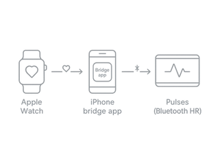 Can I Use Apple Watch with Pulses (via iPhone bridge apps)?
